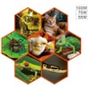 ExoRepti Deep Heat Projector Reptile Heat Lamp Bulb (DHP 100W,