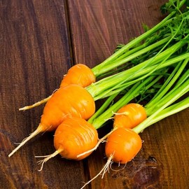 Eden Brothers Carrot Seeds - Thumbelina Non-GMO Seeds for Planting, Packet | Low-Maintenance Vegetable Seeds, Plant During Warm Season, Zones 2, 3, 4, 5, 6, 7, 8, 9, 10