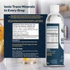 Baja Gold Liquid Trace Mineral Drops – Pure Ocean-Based Minerals