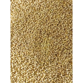white proso millet 20 lbs