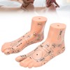 2pcs 19cm / 7.5in Feet Acupoint Model Acupuncture Teaching Aids