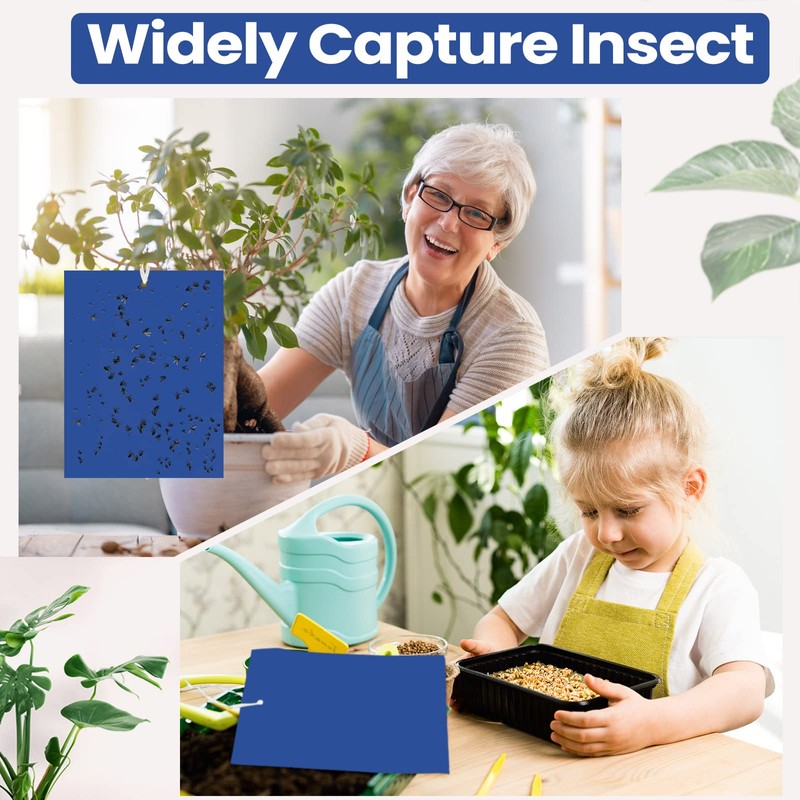 Qualirey 50 Pcs 6 x 8 Inch Sticky Traps for