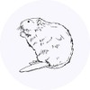 24 x 40mm Round 'Beaver' Stickers (SK00038559)
