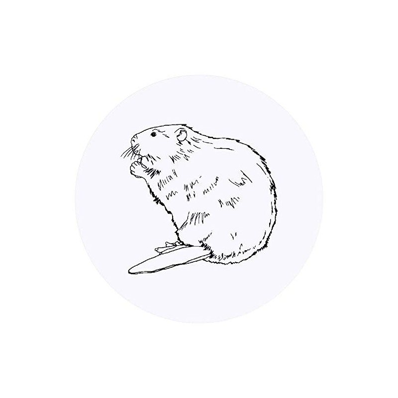 24 x 40mm Round 'Beaver' Stickers (SK00038559)