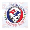 Peter Grimm, Grateful Dead Lifeguard Sunhats, Straw Unisex (Friendly)