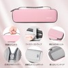 Ruilicase Universal Straight Iron Travel Case (Case Only)