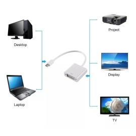 SN Adaptador Mini Dp A Dvi Cable Convertidor Pantalla Lcd