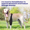 soundfuse Dog Knee Brace, Upgraded Leg Brace for ACL with