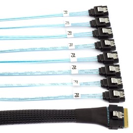 cablecc SAS 4.0 Slimline SFF-8654 8i 74pin Host Raid to 7pin 8 SATA Target Hard Disk Fanout Raid Cable 1-to-8 Splitter 100CM