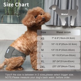 JoyDaog Reusable Dog Belly Bands for Male Dogs Diapers,5 Pack Premium Washable Dog Diapers Male Puppy Nappies Wrap,XS