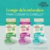 Shampoo Sólido Agave Azul para Cabello Seco, 75gr