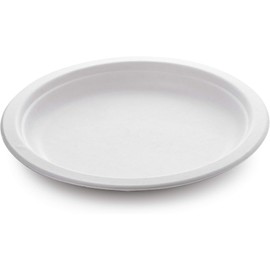 PACK of 50, 10"x 8" Large Strong Disposable Bagasse Plates Oval, USED for HOT & COLD FOODS for LUNCH & DINNER PARTY, EcoFriendly Party Plates, Food Safe, Large Disposable Plates, Strong Dinner Plates