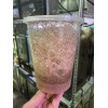 Homemade Fruit Fly Media Culture Kit (MAKES 5 CULTURES) Free