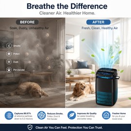 4-in-1 Air Purifier for Home – H13 HEPA Filter with UV, Ionizer & Diffuser for Bedroom, Office & Pet Areas