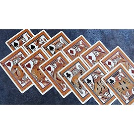 Bicycle Aurora Limited Edition Classic Poker Deck Collectable Playing Cards