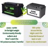 VPauexii 12V 100Ah Lithium Battery LiFePO4 Battery for Solar Pannel