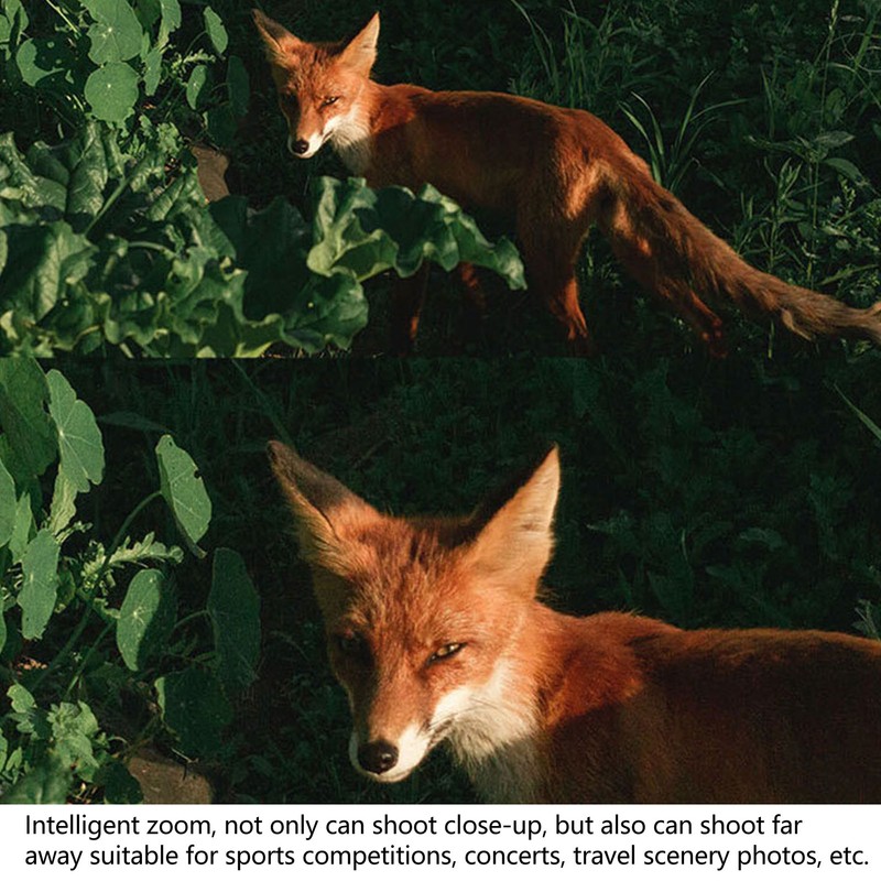 Compact Digital Camera 30MP 1080P HD Smart Pocket Digital Camera