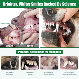 Yiorr Dog Dental Powder - Dog Teeth Cleaning Powder,Pet Breath Freshener for Teeth Cleaning,Tartar Remover & Reduces Plaque & Bad Breath,Dental Care Supplies for Dogs Cat-Beef Flavor 50g