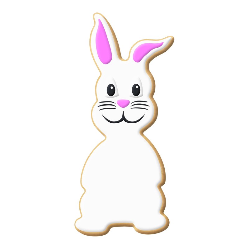 Foose Cookie Cutters Chocolate Easter Bunny Cookie Cutter, 5 in