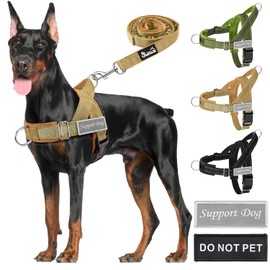 SlowTon Dog Harness Medium Large Dogs with 1.55-1.7 m Lead, Padded Reflective Chest Harness with Adjustable Neck and Chest, Anti-Pull Dog Harness for Walking