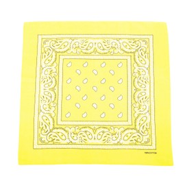 FANNI YOUPIN 100% Cotton Bandanas/Fashion Scarf for Men & Women Paisley printed Large 10pcs (Yellow)