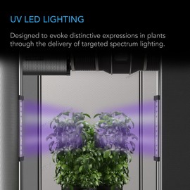AC Infinity IONBEAM U2, Targeted Spectrum UV LED Grow Light Bars 11”, 2-Bar Lighting Kit with 365nm and 395nm Diodes, Digital Dimming Schedule Controller, for Indoor Plants, Grow Tents, Greenhouses