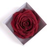 Infinity Rose Preserved Rose Box I Love You Gift for