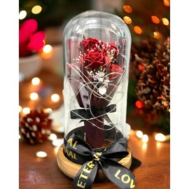 SINT Preserved Rose Gifts for Women Forever Real Rose in Glass Dome Rose Flow...