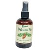 Paine's Balsam Fir Room Spray 4 oz Home and Car,