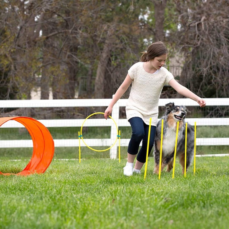 Outward Hound Zip & Zoom Outdoor Dog Agility Training Kit