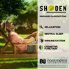 Nootropics Depot Shoden Ashwagandha Extract Capsules | 120mg | 30