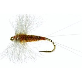Feeder Creek Fly Fishing Trout Flies - Rusty Spinner Dry Mayfly - 12 Wet Flies - 3 Size Assortment 12, 14, 16, 18 (3 of Each Size) for Trout and Other Freshwater Fish