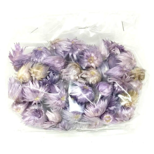 Oddity Inc. Decorative Cap Flower 1 Ounce Bag (Lavender)