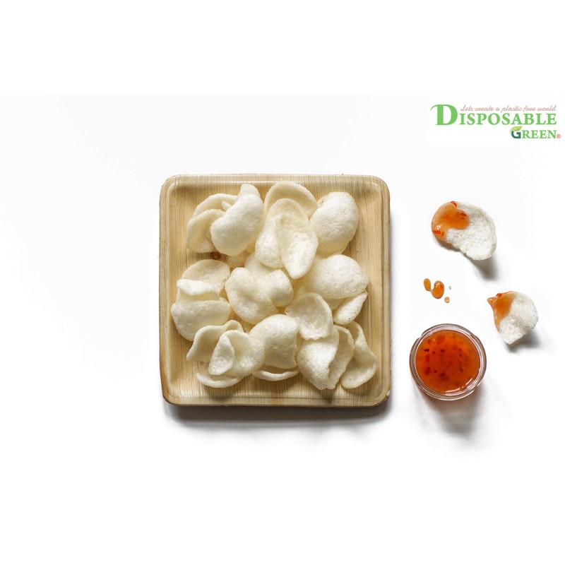 DISPOSABLE GREEN® | 20 X 20 CM Square Plates |