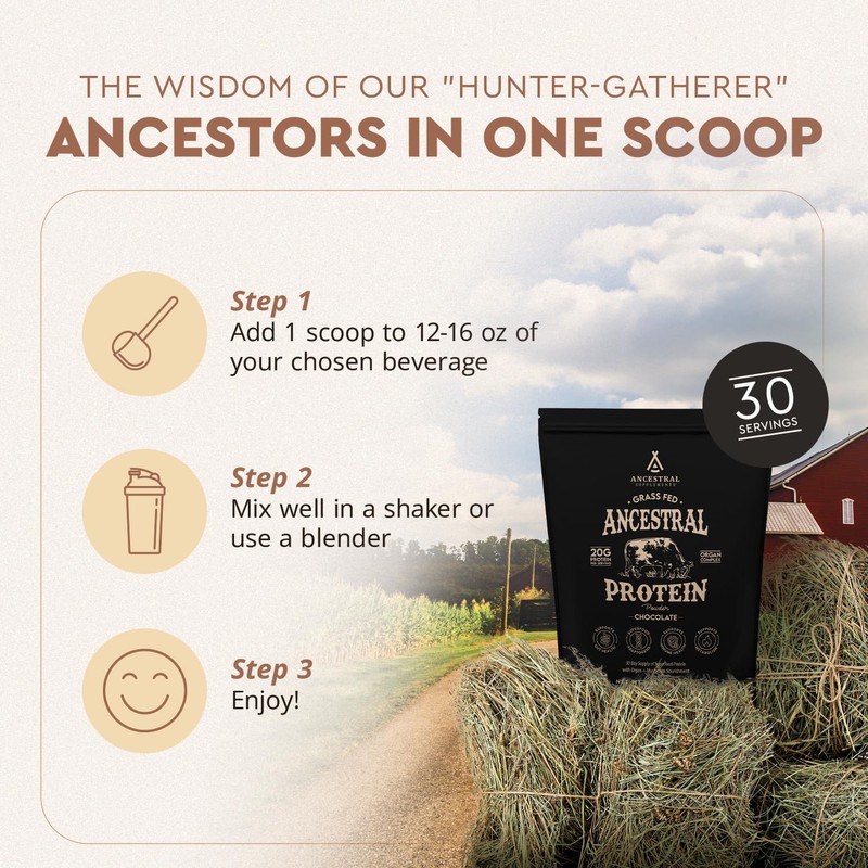 Ancestral Supplements Ancestral Supplements Grass Fed Protein Powder, Chocolate, Beef