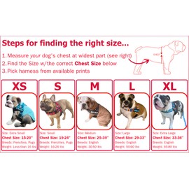 BULLHUG Adjustable Dog Harness– No Pull, No Choke – for English Bulldogs, French Bulldogs, Pugs & Broad-Chested Breeds – Easy, Safe Walks (Pink Skull, Small)