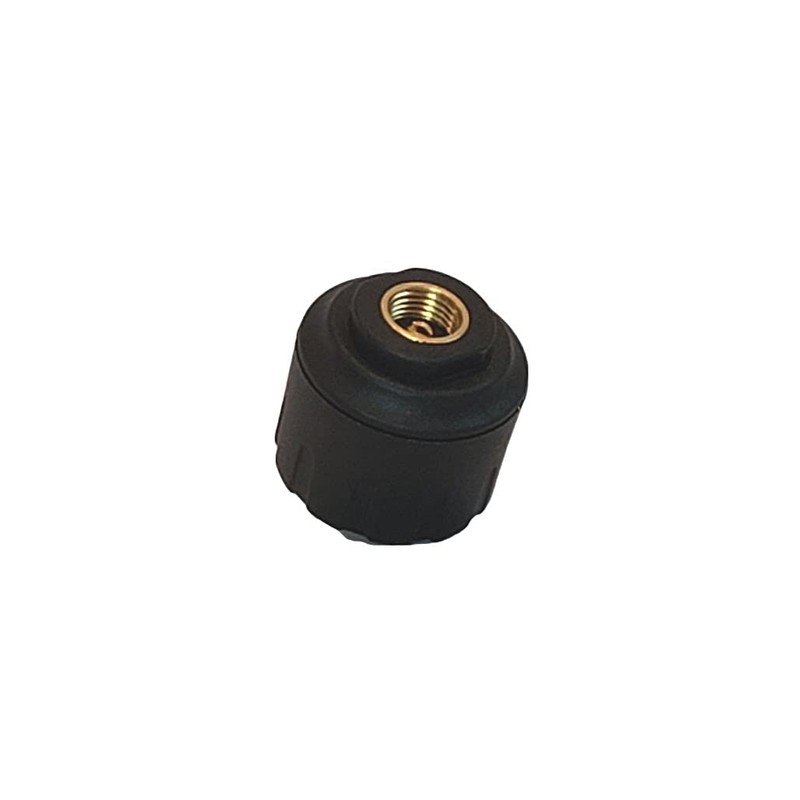 TST 507 Tire Pressure Monitoring System, 2 Cap Sensors for