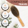 SHASH Everyday 100% Boar Bristle Hair Brush - Made in