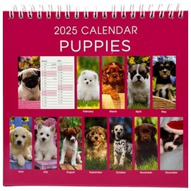 2025 Month to View Desktop Calendar Home Office Table Work Top Planner Organiser (Puppy)
