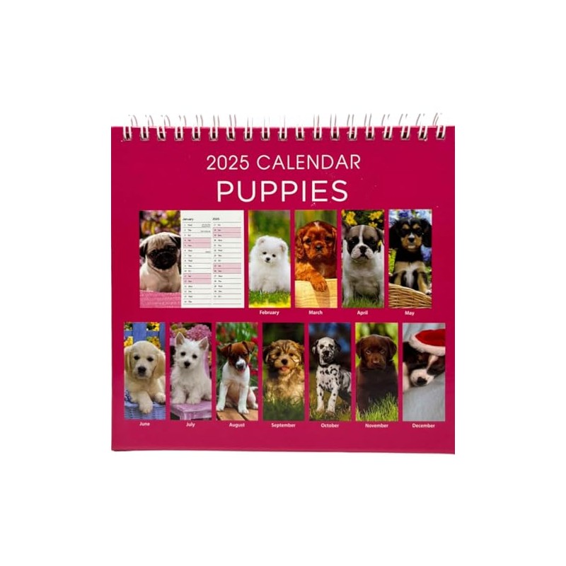 2025 Month to View Desktop Calendar Home Office Table Work