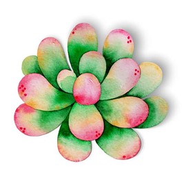 Squiddy Watercolor Succulent Colorful - Vinyl Sticker (7" Tall)