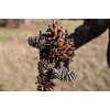 Stab-A-Nut Pine Cone & Magnolia Cone Picker Upper - Bag-A-Nut