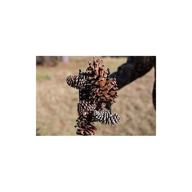 Stab-A-Nut Pine Cone & Magnolia Cone Picker Upper - Bag-A-Nut