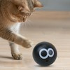 Cat Toy Ball | Interactive Cat Ball | Fun Kitten