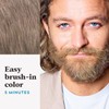 Just For Men Mustache & Beard, Beard Dye for Men