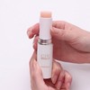 Atomy Absolute Reset Balm 9g 1 pack / 애터미 앱솔루트