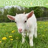 10 Pack Floral Goat Collars with Bells Adjustable Grazing Collar