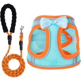 Dog Harness with Leash Set, Step-in Breathable Puppy Cat Dog Vest Harnesses, No Pull Adjustable Reflective Puppy Harness with Soft Padded Vest for Extra-Small/Small Medium Large Dogs and Cats