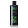 Future Lab Botanical Color Cream Shampoo, Black, 6.8 fl oz