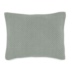 Nostalgia Home Fairview Sham, King, Sage